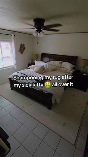 Okay, so my poor kitty wasn’t feeling great and threw up on our white rug 😬. Not gonna lie, the rug didn’t come out perfect, but my Hoover carpet shampooer made it so much better! I vacuumed, shampooed, and yes… there are some satisfying water dumps you have to see 😅. If you love a little cleaning therapy or just want to see a rug rescue in action, this one’s for you! @Hoover Direct #CarpetCleaning #Hoover #CleanWithMe #SatisfyingCleaning #HomeCleaning