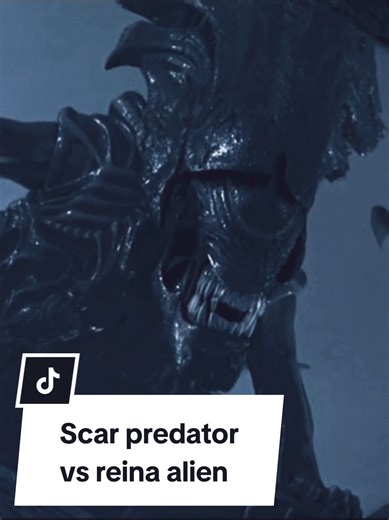 𝘼𝙇𝙄𝙀𝙉 𝙑𝙎 𝘿𝙀𝙋𝙍𝙀𝘿𝘼𝘿𝙊𝙍 (2004) 𝙎𝙘𝙖𝙧 𝙥𝙧𝙚𝙙𝙖𝙩𝙤𝙧 𝙫𝙨 𝙡𝙖 𝙧𝙚𝙞𝙣𝙖 𝙖𝙡𝙞𝙚𝙣 𝘿𝙚𝙨𝙥𝙪𝙚𝙨 𝙙𝙚 𝙨𝙖𝙡𝙞𝙧 𝙖 𝙡𝙖 𝙨𝙪𝙥𝙚𝙧𝙛𝙞𝙘𝙞𝙚 𝙨𝙘𝙖𝙧 𝙚𝙨 𝙖𝙡𝙘𝙖𝙣𝙯𝙖𝙙𝙤 𝙥𝙤𝙧 𝙡𝙖 𝙧𝙚𝙞𝙣𝙖 𝙖𝙡𝙞𝙚𝙣 𝙦𝙪𝙚 𝙚𝙨𝙘𝙖𝙥𝙤 𝙙𝙚 𝙡𝙖 𝙚𝙭𝙥𝙡𝙤𝙨𝙞𝙤𝙣 #alienvspredator #depredador #movieclips #parati #fypシ゚