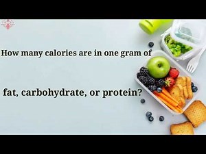 How Many Calories are in one gram of fat, carbohydrates, or protein? | The Nutrition Diary