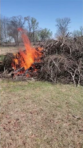 This Brush Pile Got Out of Control #rurallife