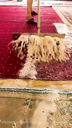 Wringing Out Woes: How a Squeegee Saves Carpets from Sudsy Doom