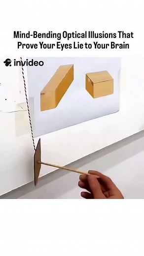 This incredible video demonstrates how easily our visual perception can b mous optical illusions! We prove that seeing is believing by physically measuring three classic tricks: 1.Perspective Illusion: Two three-dimensional shapes that appear to be wildly different sizes are shown to be identical. 2. Jastrow Illusion: Two curved segments that look like they have two distinct sizes are placed on top of each other to prove they are the same shape. 3. Müller-Lyer Illusion: Two red lines appear to b
