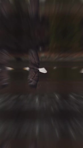 Beautiful Video Designs with CapCut in Konya