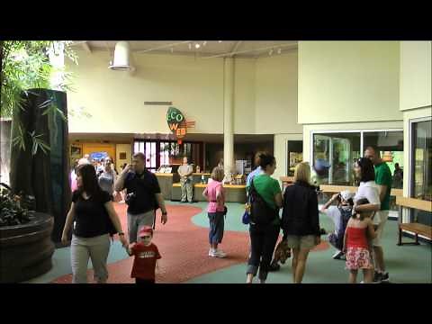 Conservation Station, Animal Kingdom, Walt Disney World HD (1080p)