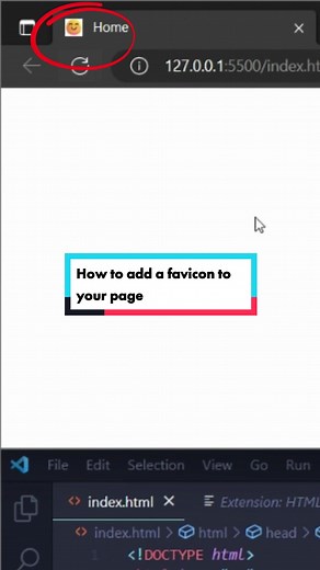 danthecoder on TikTok