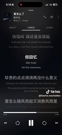 爱怎么了：中文歌曲歌词解析与翻译