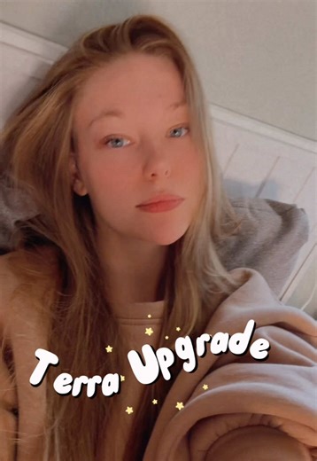 Organizing Your Reptile Terrarium for Chameleons