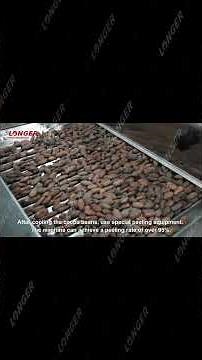 Cocoa Bean Winnower Machine|Cocoa Processing Equipment