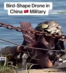 Bird-Shape Drone in China | Beautiful places in China