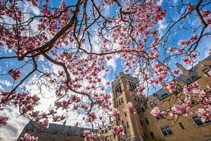 South Bend, IN - Livability.com