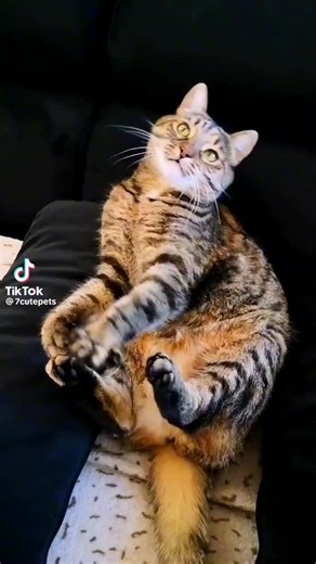 Video di elyy (@elyy7572) con suono originale - elyy