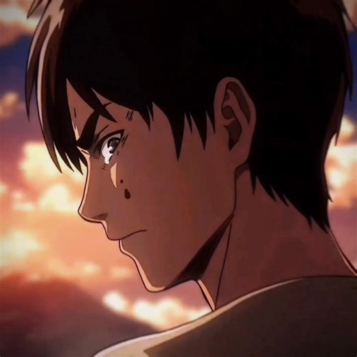 『 Eren Chose Freedom Over Humanity 🗿🔥』 「 DBZ 」FinalArc FX #eren #erenyeager #aot #attackontitan