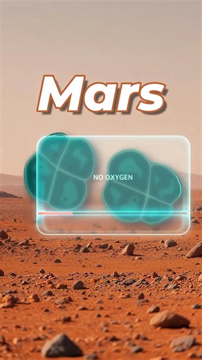 Alien Bacteria: जो सालों तक स्पेस में जिंदा रहा! 🚀🧫 | #facts #short #factempire