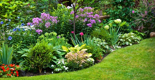 17 Songs about Gardens That Will Bring You Closer to Nature