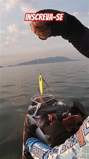 What's the best bait for fishing for croaker? #fishing #bamboofishing