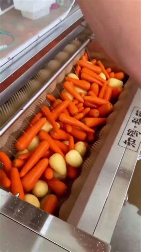 Food Processors Peeling Root Vegetables Using Roller Brush Machine