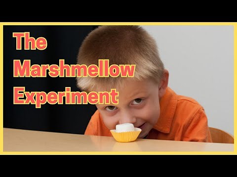 The Marshmellow Experiment: A Study On Delayed Gratification