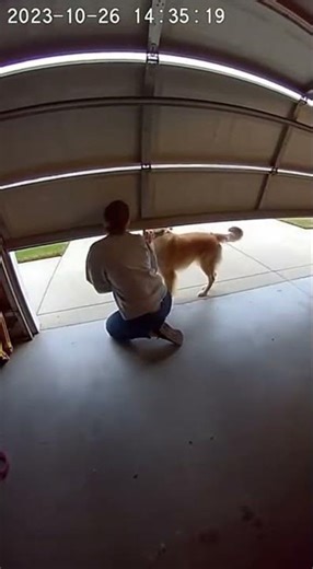 Nobody expected the dog to do THIS… 🐶