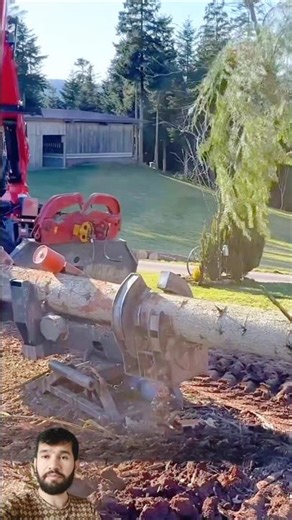 Amazing Tree Branch Cutting Machine || Satisfying Wood Processing #youtubeshorts #shorts #shortsfeed