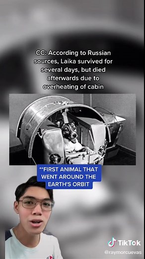 The Fascinating World of Animals in Space