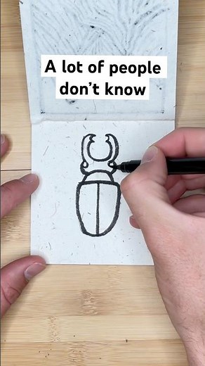 Try this EASY doodle: how to draw a beetle 🪲 #howtodraw #beetle #drawingtutorial