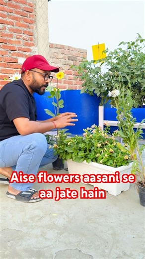 Aise flowers aasani se aa jate hain #gardening #gardningtips