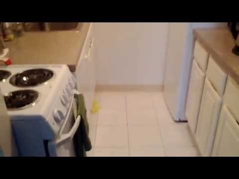 Airbnb Review - Manhattan New York City