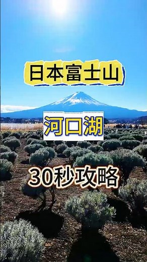 🗻 富士河口湖 攻略