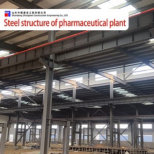 [Hot Item] Steel Structure Fabrication and Installation for Large-Span Structures