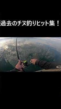 のっこみチヌ開幕だ‼過去のチヌフカセ釣りヒット集‼ #釣り #fishing #フカセ釣り