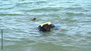 Asian men wear a life jacket floating in the sea It's about to close to exhaustion as the waves wash over the beach. to people and accident in the sea concept. Stock Video