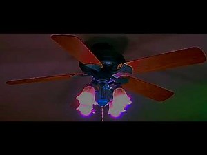 National Ceiling Fan Day 2025 Special