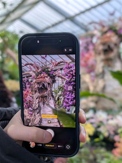 Explore the Orchid Festival at Kew Gardens