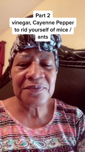 Effective Ways to Get Rid of Mice in Your House