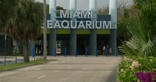 Miami Seaquarium to permanently close on Sunday