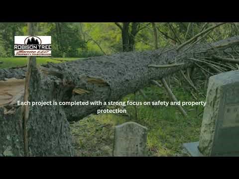 Top Rated Tree Removal Service in Lexington, KY || Robison Tree Service