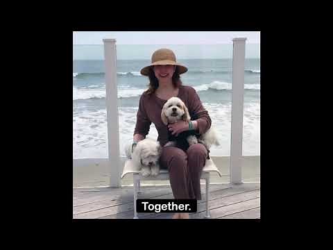 Victoria Principal 2019