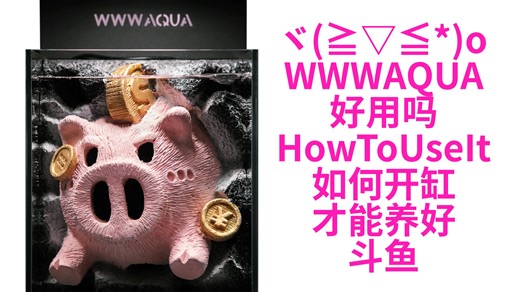 WWWAQUA体验测评（1）