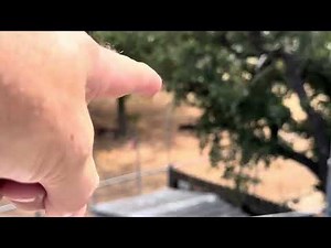 Alpha Delta DX LB Plus antenna is up and operational.