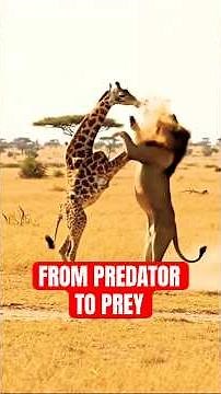 5 Animals That Fought Their Hunters...And Won