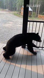 Surprise bear encounters 🐻😰 #wildlife #scary #bears #animalfails #CCTV #fails | This is Happening Daily