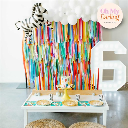 Colorful Plastic Fringe Backdrop: Handmade Party Photo Booth Decor, Streamer Wall, Custom Party Backdrop, Party Decor - Etsy