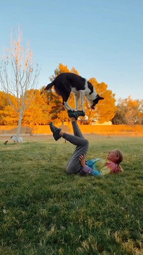 Amazing Border Collie Dog Tricks | Not So Ordinary