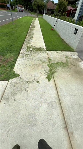 Professional Lawn Care Services in Sydney