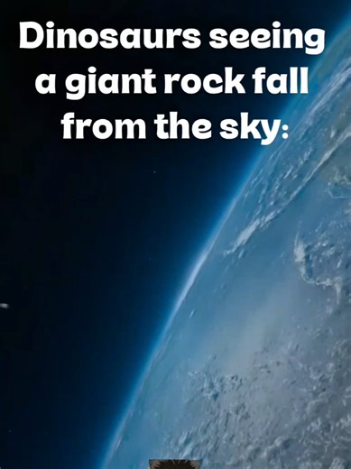 Dinosaurs Seeing a Giant Rock Fall From the Sky #meme #dinosaur #dinotok #meteor #extinct