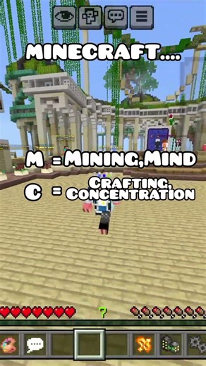 Meaning of MC Minecraft