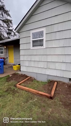 Exciting Adventures in the Extraordinary Catio for Two Sisters