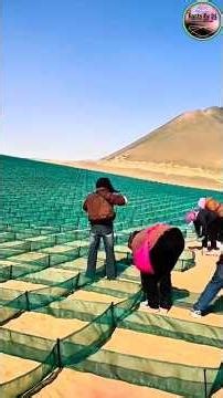 China's Desert Control Mission is astonishing the entire world 😱🇨🇳🏜️ #China #GreenGreatWall