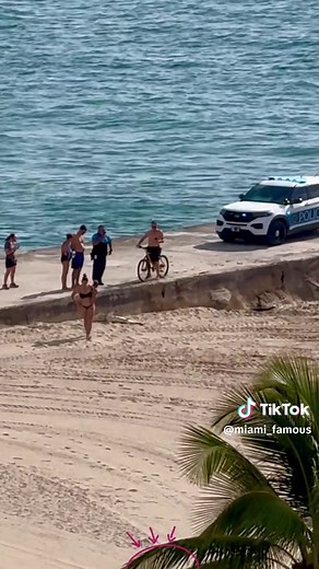 Dead Shark Found at Haulover Inlet Beach, Florida
