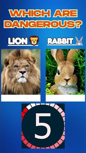 Lion vs. Rabbit: You Won’t Believe Who Wins! 🦁🐇